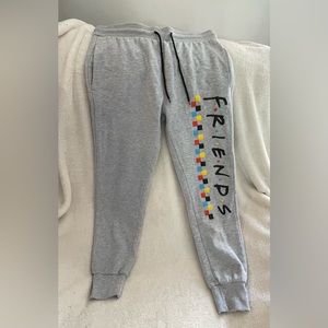 Friends Junior Sweatpants Gray, Size Large